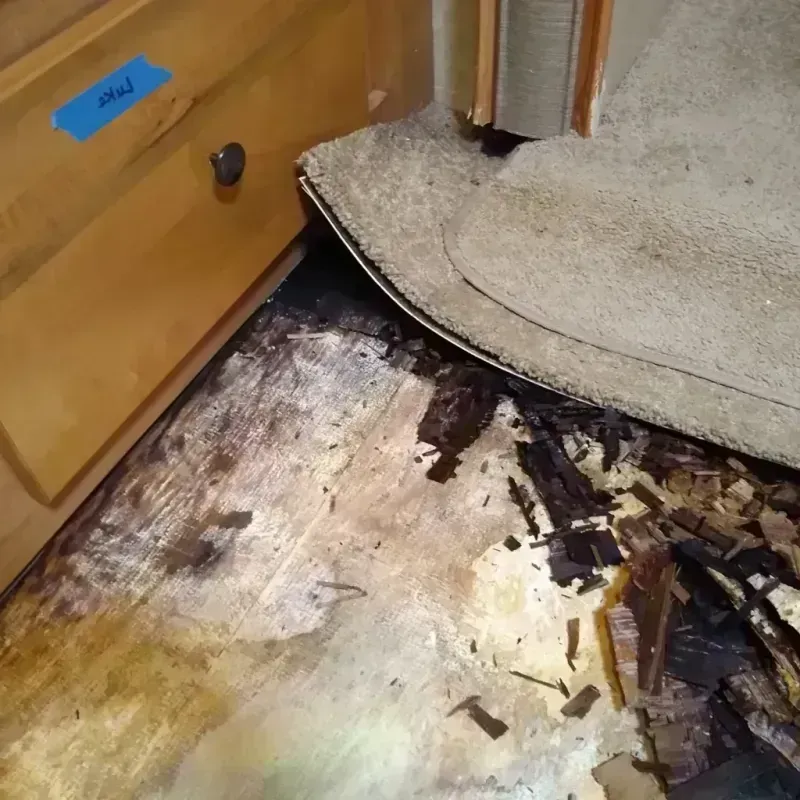 Wood Floor Water Damage in Sangaree, SC